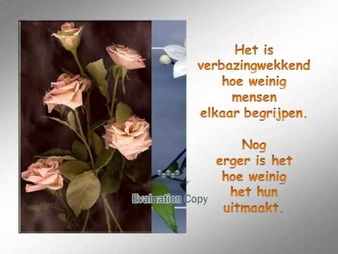 bloemen wijsheden bloemen met spreuken wmv youtube bloemen wijsheden bloemen met spreuken wmv youtube