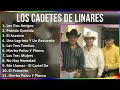 Video de Linares