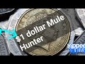 Tassie coin hunter 4 1 dollar mules look back