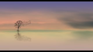 Bellissimo Video Con Frasi Motivanti Che Ti Aiuteranno A Superare Una Situazione Di Stress screenshot 5