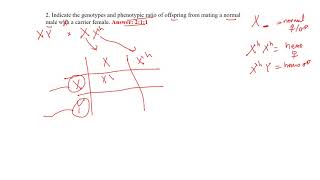 page 29 q2