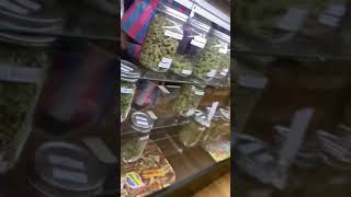 Wrapping Up At The Shop