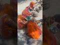 Day-62/365 days cooking series|#youtubeshorts#trending#dailyshorts#shorts#viral#cooking