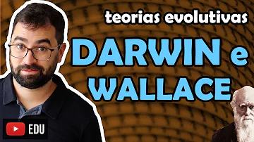O que afirmava a teoria de Darwin e Wallace?