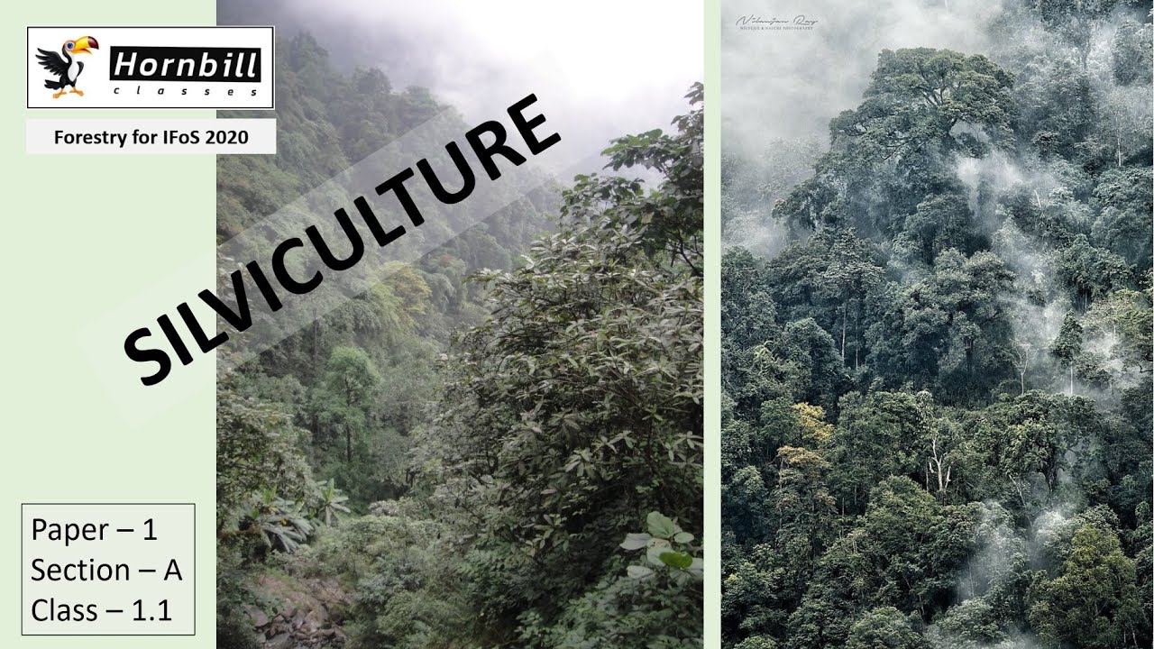1. IFoS-2020 | Silviculture - Introduction