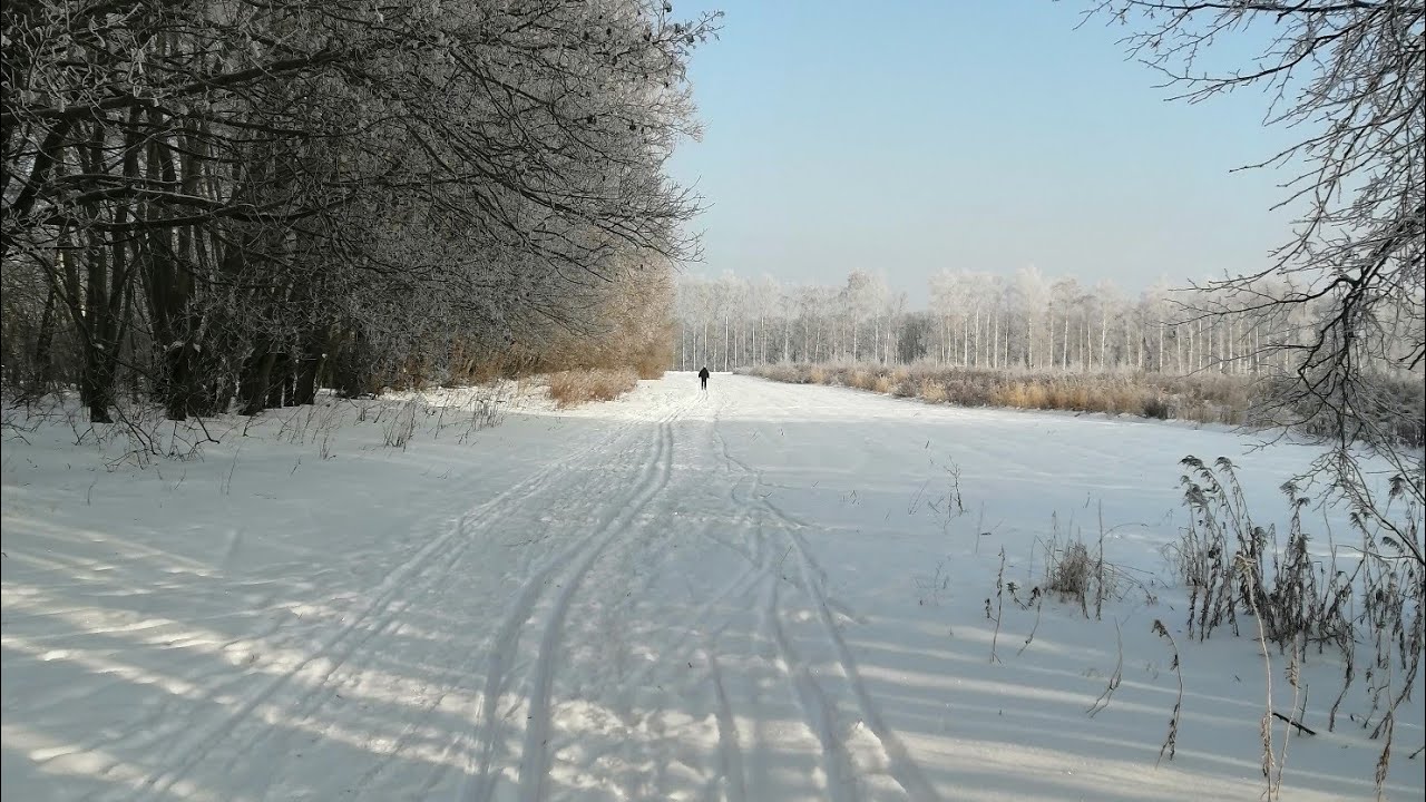 16.01.26. На лыжне🎿