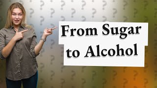 How does yeast turn sugar into alcohol?