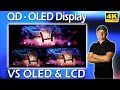 A95K?  QD-OLED vs LG C1 vs LG QNED90 Exclusive Footage