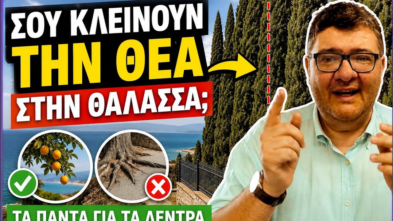 Τα πάντα για τα δέντρα στα όρια του ακινήτου