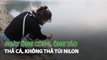 Ngày Ông Công, Ông Táo thả cá, không thả túi Nilon| VTC14