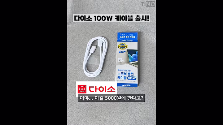 다이소 100W C타입 케이블 출시함ㄷㄷ | 5000원