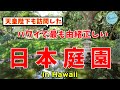 【天皇陛下も訪問した！】ハワイで最も由緒正しい日本庭園【ハワイで和む】