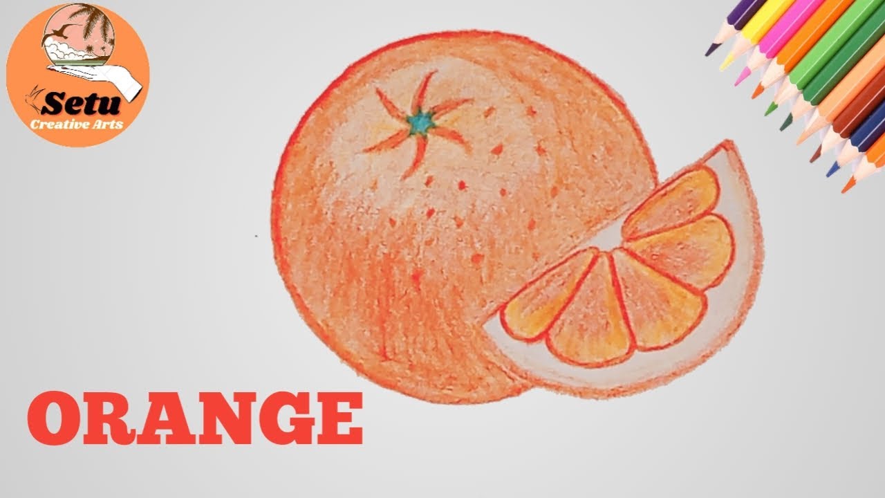 How to draw a orange step by step || Drawing orange (very easy) - YouTube