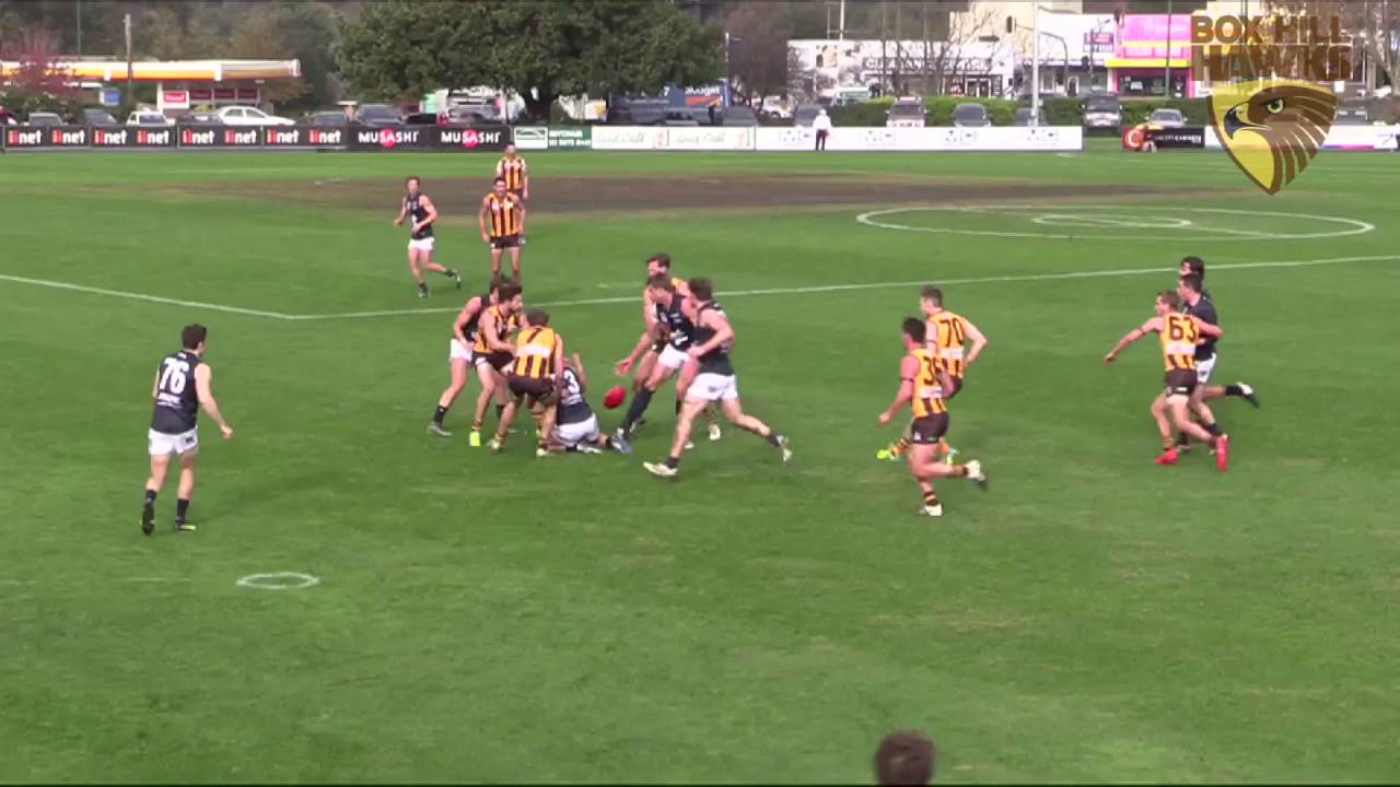 Box Hill Hawks RD 10 (Highlights) YouTube