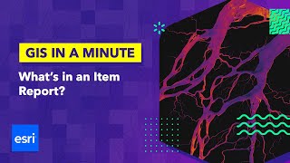 What's in an Item Report?
