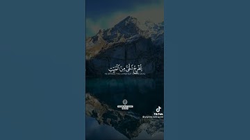 فسبحان الله حين تمسون وحين تصبحون😴اجمل تلاوه[تلاوه تسكن القلب]وفيها موعضه
