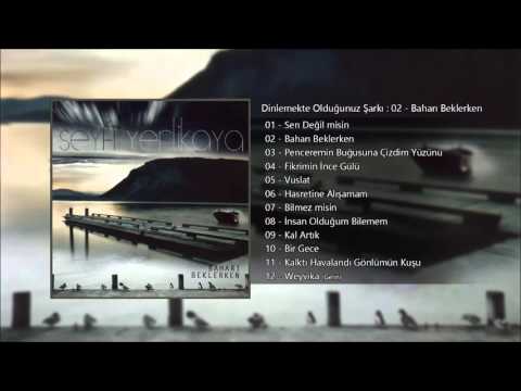 Seyfi Yerlikaya - Baharı Beklerken