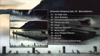 Seyfi Yerlikaya - Baharı Beklerken