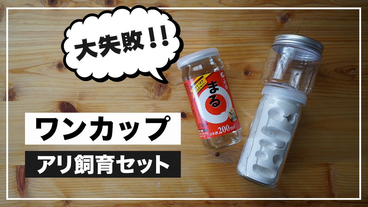 This is no good!] Can you make an ant breeding cage using a cup