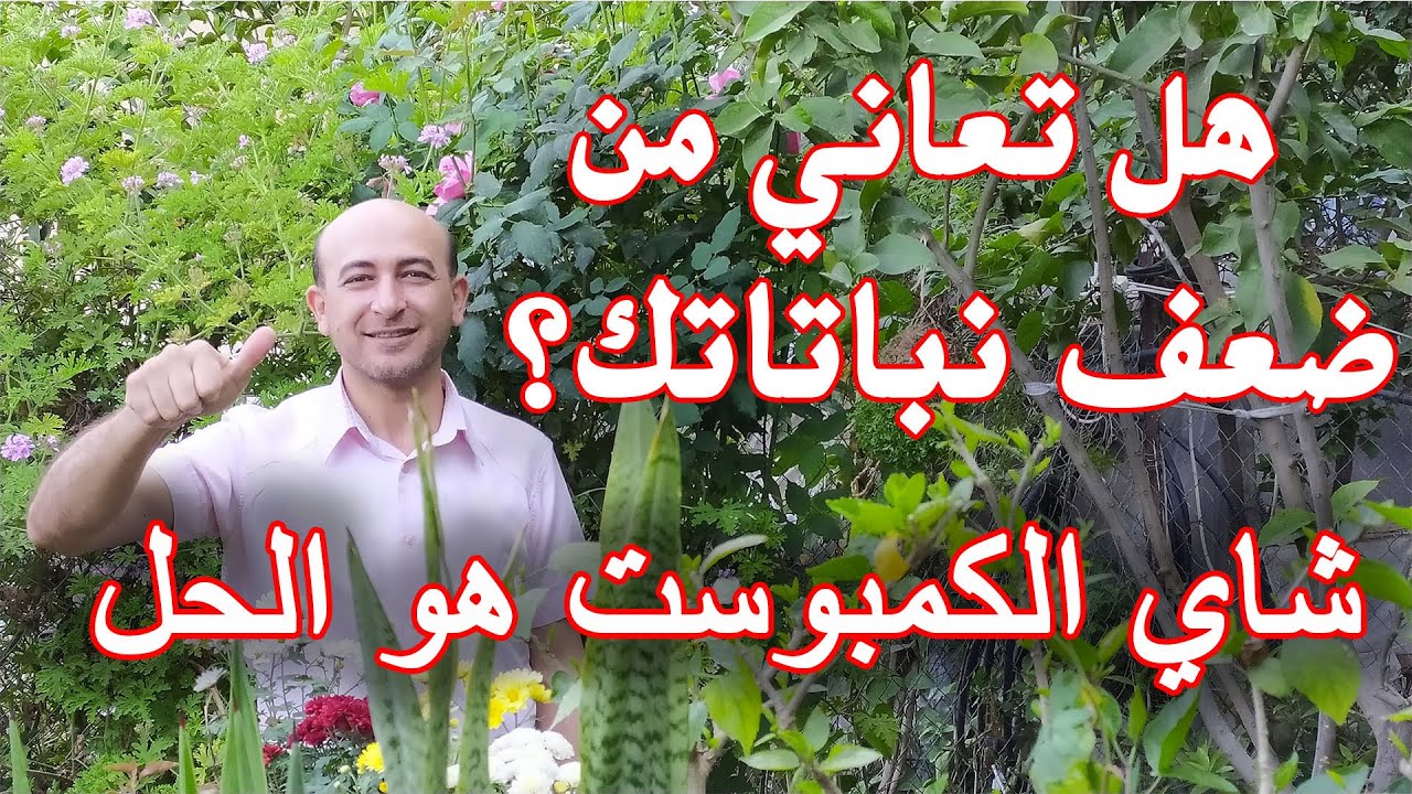 أفضل مغذي طبيعي للنباتات, طريقة إعداد و استخدام شاي الكمبوست, How to make and use compost tea.