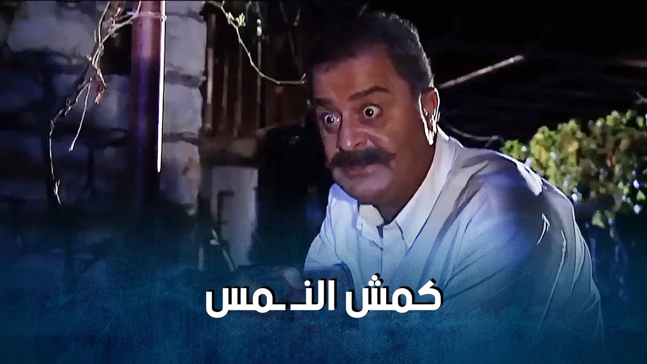 جيجات المختار عم يكاكو فكر انو نمس طلعو النمسين جودة واسعد _ضيعة ضايعة1 ...