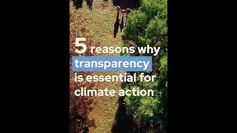 5 reasons why transparency is essential for climate action