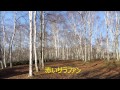 苫小牧合唱団 「赤いサラファン 」