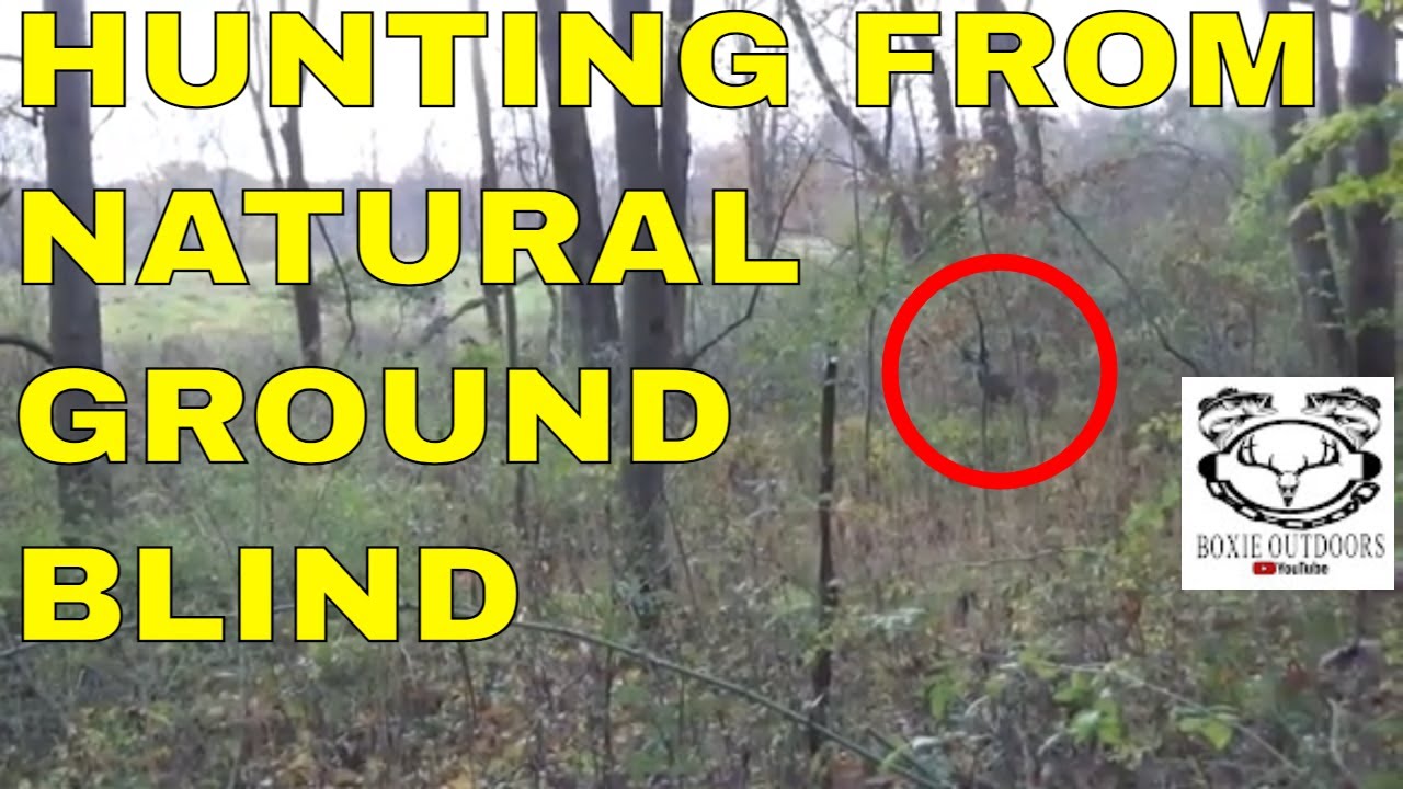 PA Public Land Deer Hunting 2021 Ep.11 Natural Ground Blind 