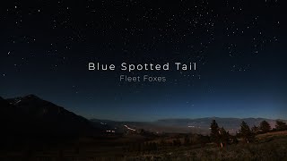 [Vietsub Lyrics] Blue Spotted Tail  - Fleet Foxes
