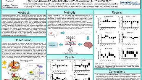 Murray, Alyssa — Poster Presentation