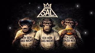 SAL – Ich seh das nicht | Deutschrock / Punk Rock (Official Audio)