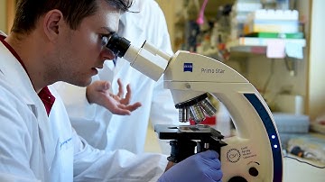 Organoid Technology for Personalized Medicine