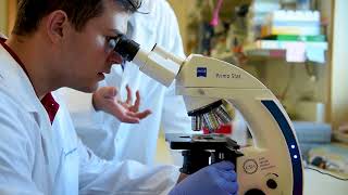 Organoid Technology for Personalized Medicine