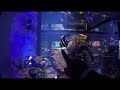 AQUARIUM la isla en cancún|||||| 🐡  🐠 🐬 🐬 🐬