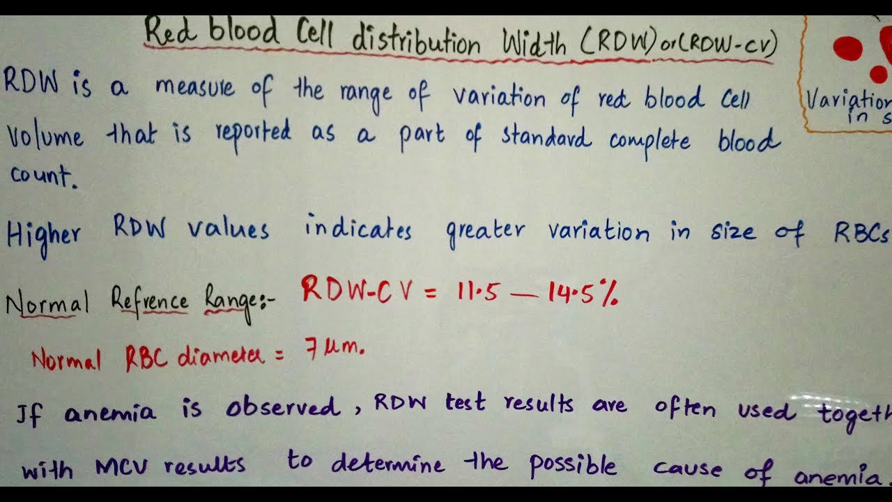 Red Cell Distribution Width Easy Way To Understand In Hindi And