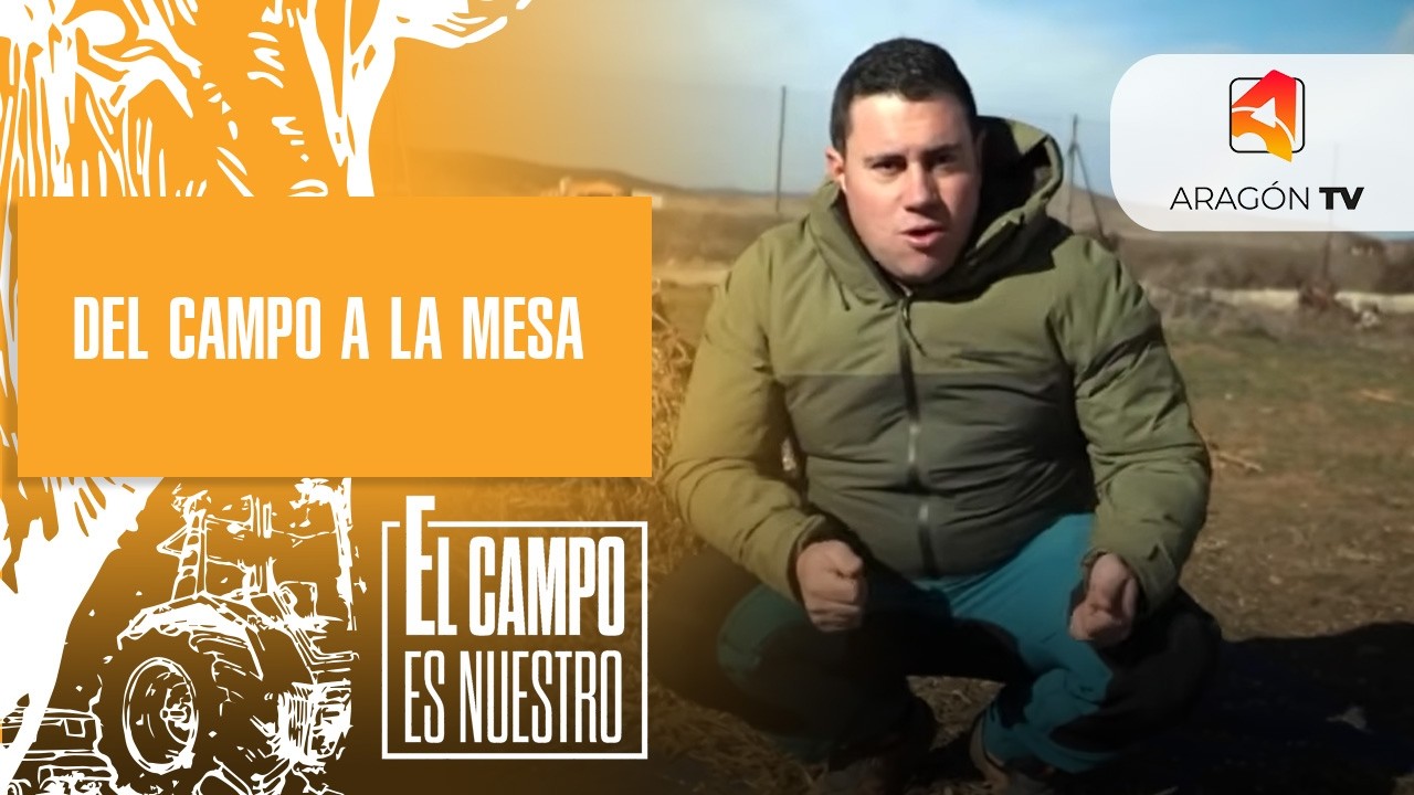 Del campo a la mesa