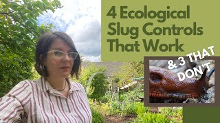 4 Ecological Slug Solutions I Use with Great Success, and 3 Ineffective Ones You Can Skip