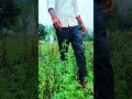 #educationnepal #facts #mahuliya #viralvideo #village #vlogs