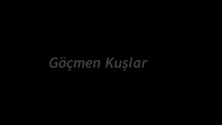 Göçmen Kuşlar Resimi