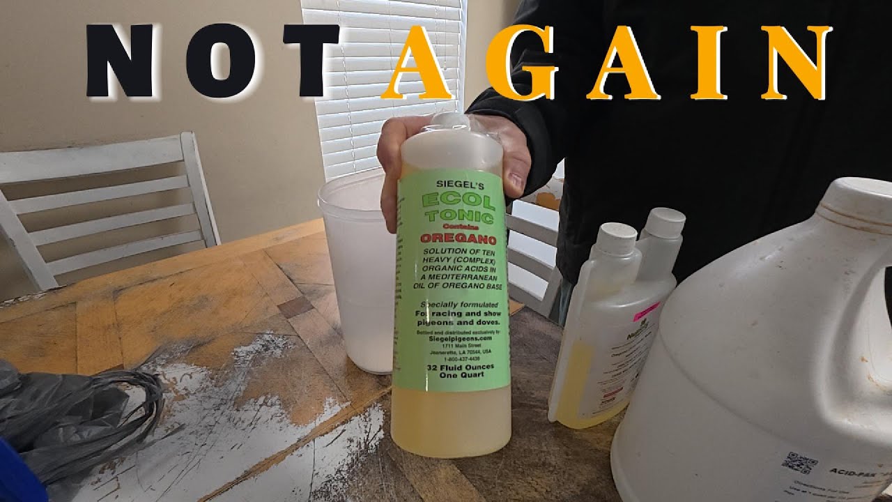 Это происходит каждый год в одно и то же время. Разбросанные экскременты снова преследуют меня.