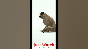 Fun Google Tricks  | #Google search tricks you must know #shorts #short