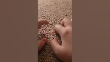 2+ minutes of #aggressiveasmr #asmr #asmrscratching carpet scratching asmr 💤💤💤