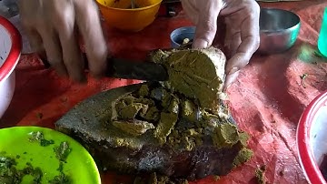 C.ứt Dê || món ăn kinh Dị nhất Tây Nguyên || Rất ít Người  dám Thử || DH 47