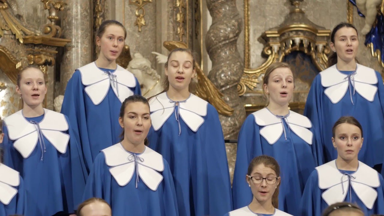 MOTÝLI ŠUMPERK: lidová - Ten suchdolský rybník