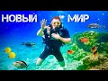 Катаемся по пустыне и плаваем в Красном море - полный кайф