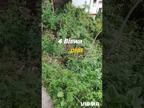 4 Biswa Plot For Sale In Solan City Tankroad 7018652819