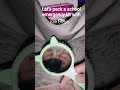 tell me what I missed???