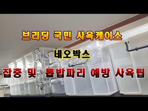네오박스 튜닝으로 톱밥파리와 진드기를 예방하자!