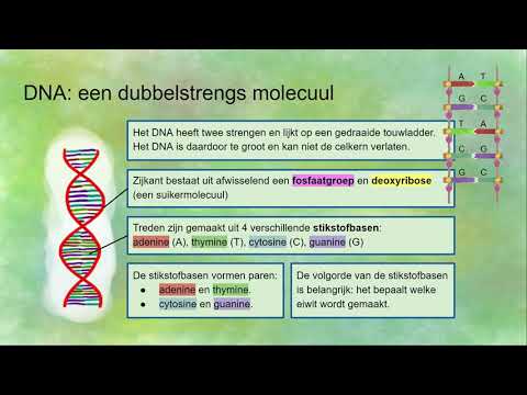 Video: Wat is drie strukturele verskille tussen DNA en RNA?