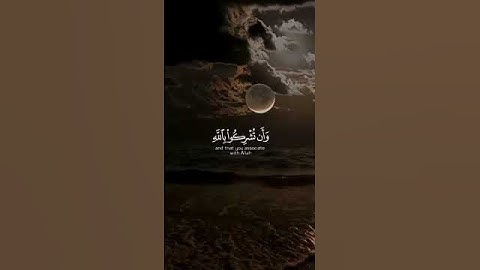 تلاوة خاشعة للقارئ عبدالباسط عبدالصمد | صوت يهزّ القلوب | أجمل تلاوة للقرآن الكريم